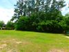Fayetteville Road photo
